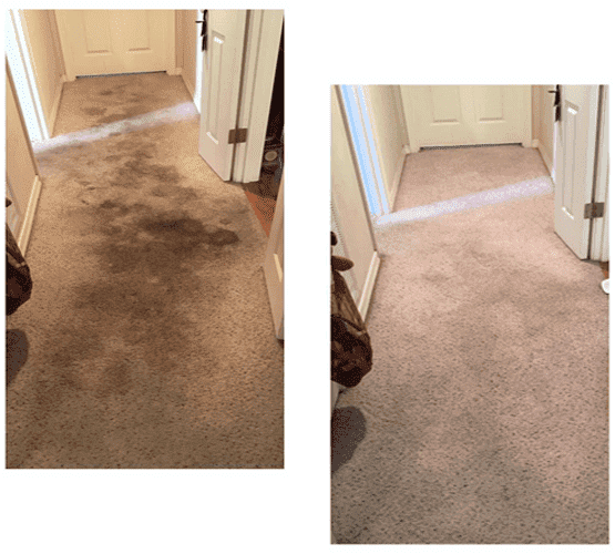 Carpet Cleaning Before And After