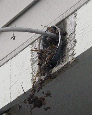 Dryer Vent Cleaning Pasadena TX